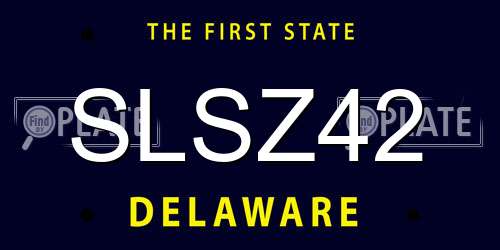 SLSZ42 Delaware License Plate