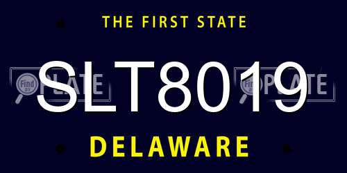SLT8019 Delaware License Plate