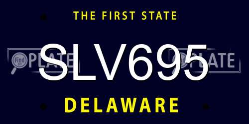 SLV695 Delaware License Plate