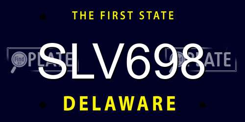 SLV698 Delaware License Plate