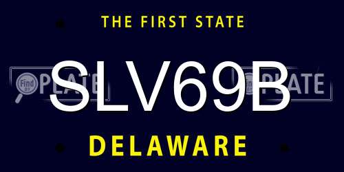 SLV69B Delaware License Plate