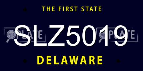SLZ5019 Delaware License Plate
