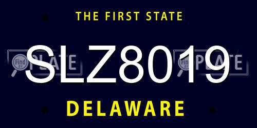 SLZ8019 Delaware License Plate