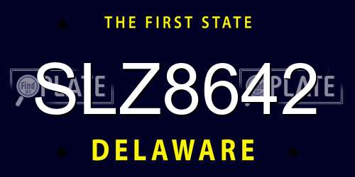 SLZ8642 Delaware License Plate