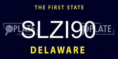 SLZI90 Delaware License Plate