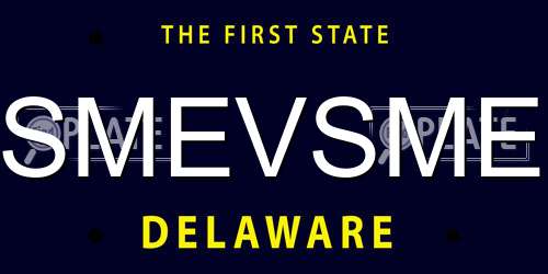 SMEVSME Delaware License Plate