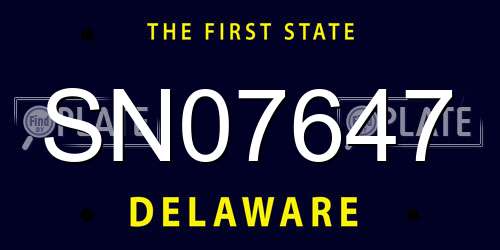 SN07647 Delaware License Plate