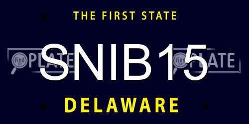SNIB15 Delaware License Plate