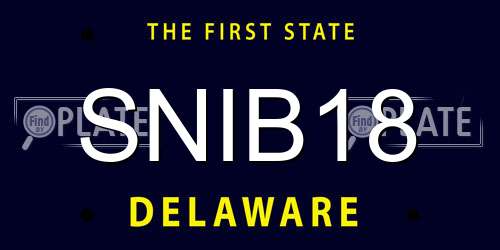 SNIB18 Delaware License Plate