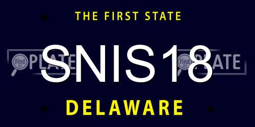 SNIS18 Delaware License Plate