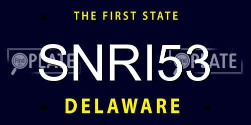 SNRI53 Delaware License Plate
