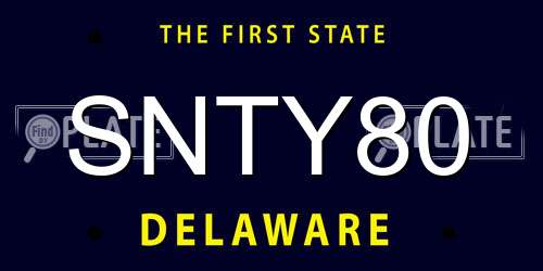 SNTY80 Delaware License Plate