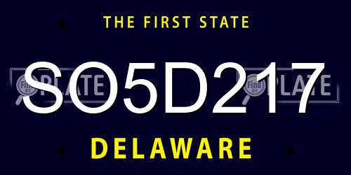 SO5D217 Delaware License Plate
