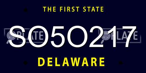 SO5O217 Delaware License Plate