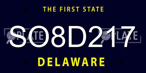SO8D217 Delaware License Plate