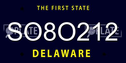 SO8O212 Delaware License Plate