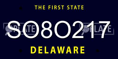 SO8O217 Delaware License Plate
