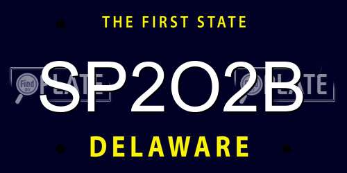 SP2O2B Delaware License Plate