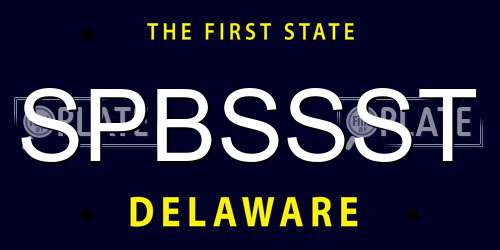 SPBSSST Delaware License Plate