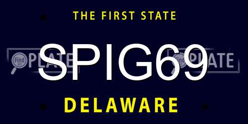 SPIG69 Delaware License Plate