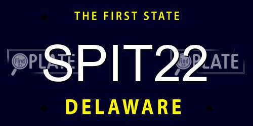 SPIT22 Delaware License Plate