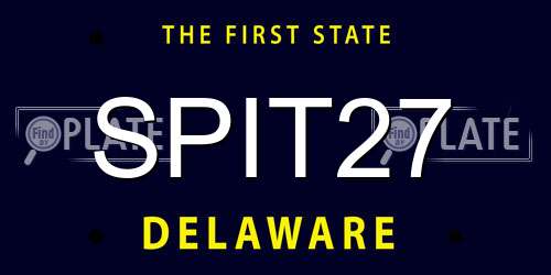 SPIT27 Delaware License Plate
