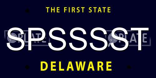 SPSSSST Delaware License Plate