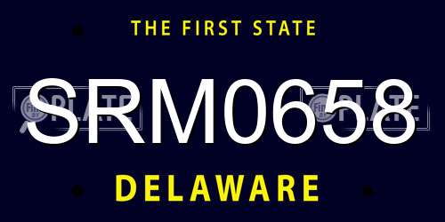 SRM0658 Delaware License Plate
