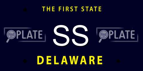 SS Delaware License Plate