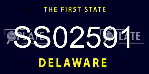 SS02591 Delaware License Plate