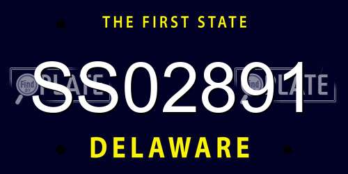 SS02891 Delaware License Plate