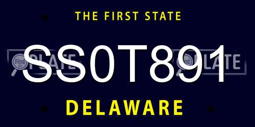 SS0T891 Delaware License Plate