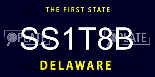 SS1T8B Delaware License Plate