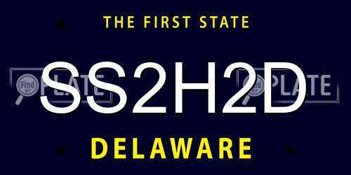 SS2H2D Delaware License Plate