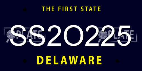 SS2O225 Delaware License Plate