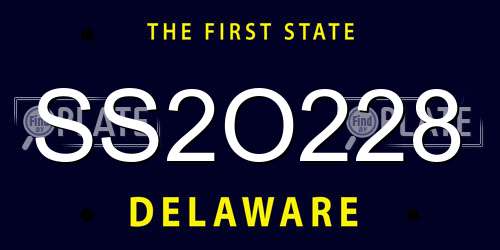 SS2O228 Delaware License Plate