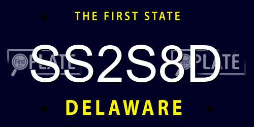 SS2S8D Delaware License Plate