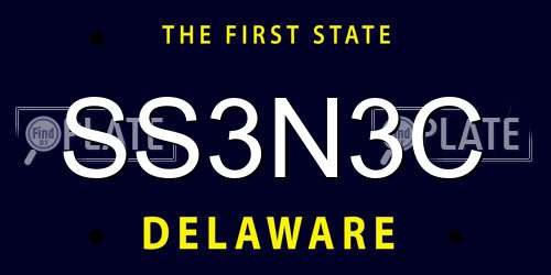 SS3N3C Delaware License Plate