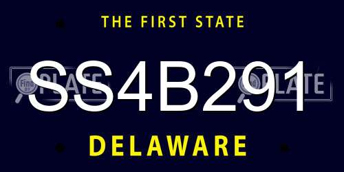 SS4B291 Delaware License Plate