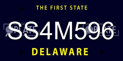 SS4M596 Delaware License Plate