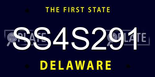 SS4S291 Delaware License Plate