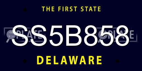 SS5B858 Delaware License Plate