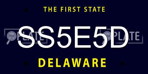 SS5E5D Delaware License Plate