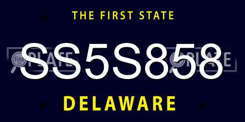 SS5S858 Delaware License Plate