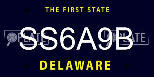 SS6A9B Delaware License Plate