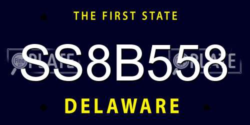 SS8B558 Delaware License Plate