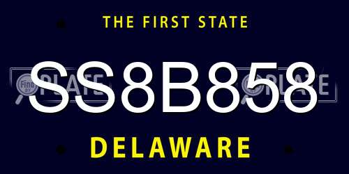 SS8B858 Delaware License Plate