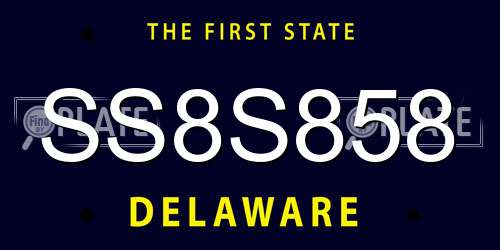 SS8S858 Delaware License Plate