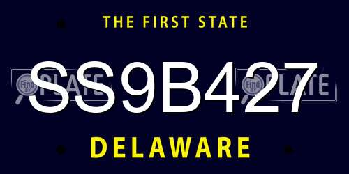 SS9B427 Delaware License Plate