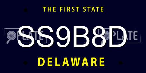 SS9B8D Delaware License Plate